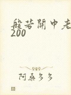 般若关中老人5200