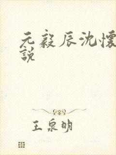 元毅辰沈怀妆小说