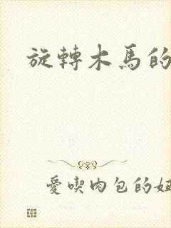 旋转木马的鏖战