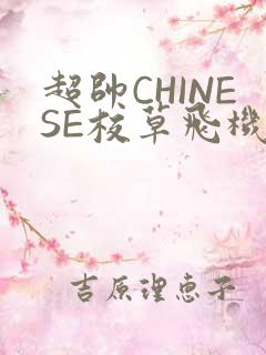 超帅CHINESE校草飞机BLUE