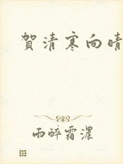 贺清寒向晴小说