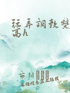 玩弄调教双胞胎高h