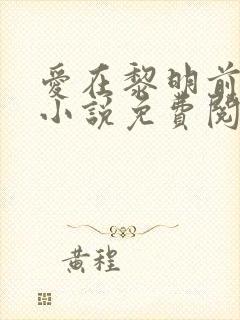 爱在黎明前降落小说免费阅读