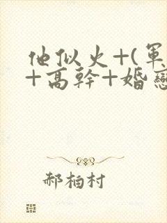 他似火+(军婚+高干+婚恋)