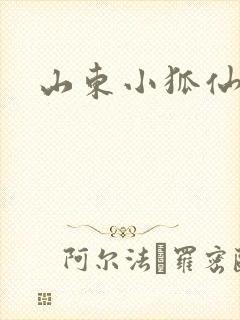 山东小狐仙