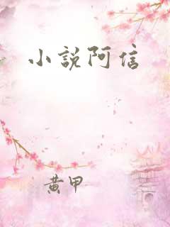 小说阿信
