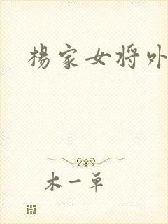 杨家女将外传