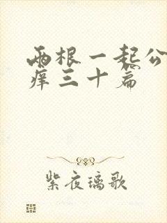 两根一起公憩止痒三十篇