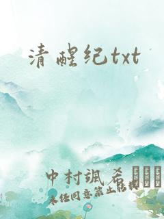 清醒纪txt