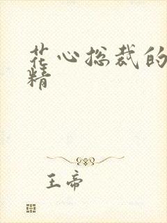 花心总裁的小妖精