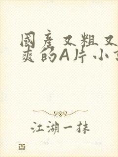 国产又粗又黄又爽的A片小说