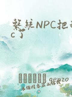 系统NPC把我c了