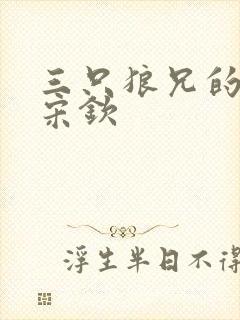 三只狼兄的宠妻宋钦