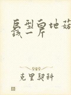 巨型白地菇多少钱一斤