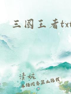 三国王者txt