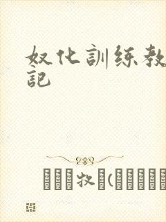 奴化训练教程日记