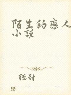 陌生的恋人原著小说
