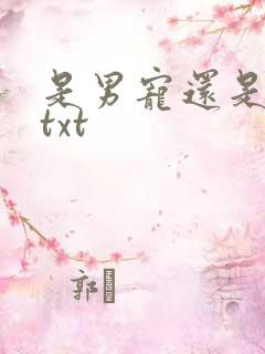 是男宠还是禁脔txt