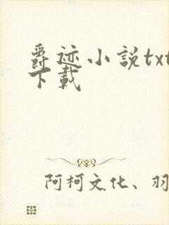 爵迹小说txt下载