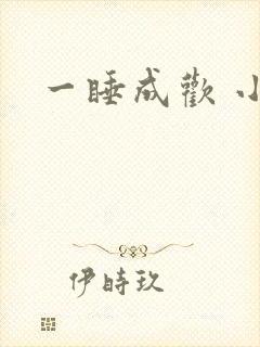 一睡成欢 小说