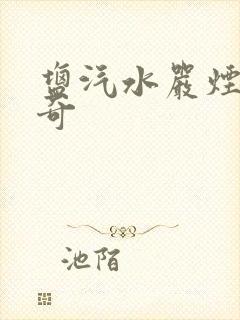 盐汽水严烟薛子奇