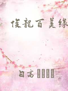 俊龙百美缘小说