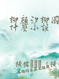 柳颜汐柳国安是什么小说