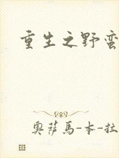 重生之野蛮盗贼