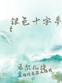银色十字梦txt