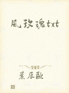 风玫瑰txt