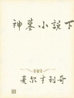 神墓小说下载