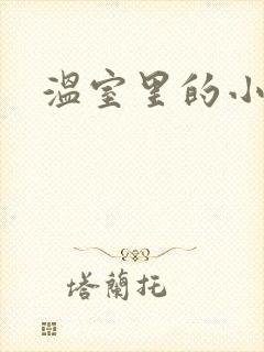 温室里的小百合