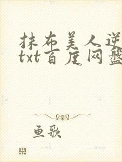 抹布美人逆袭记txt百度网盘