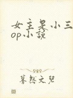 女主是小三的pop小说