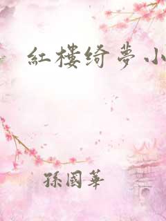 红楼绮梦小说