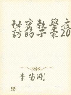 秘密教学夜晚到访的子豪20话