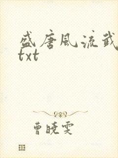 盛唐风流武状元txt