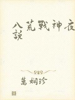 八荒战神夜麟小说