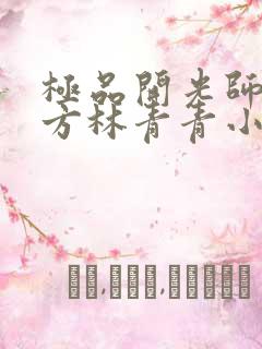 极品开光师李南方林青青小说免费阅读