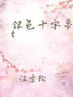 银色十字梦txt