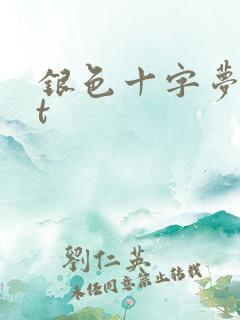 银色十字梦txt