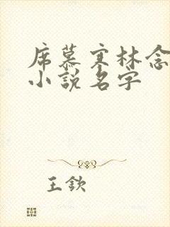 席慕寒林念儿的小说名字