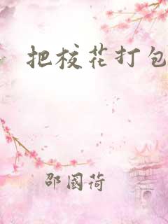 把校花打包带走