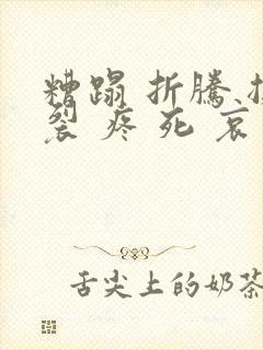 糟蹋 折腾 撕裂 疼 死 哀求