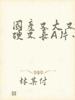 国产又大又粗又硬又长A片小说