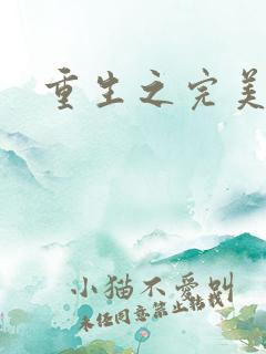 重生之完美一生