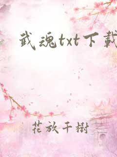 武魂txt下载
