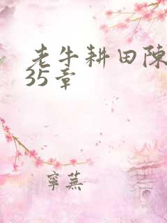 老牛耕田陈雪435章