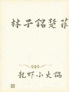 林子铭楚菲小说