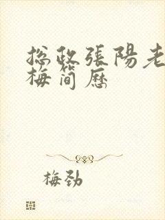 总政张阳老婆吕梅简历